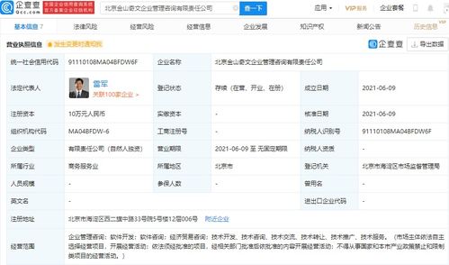 雷军独资设立金山奇文企业管理咨询公司，全资持股引发市场关注