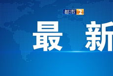 金融信息服务 新浪财经的角色与价值
